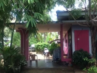 Bamboo Hut Negombo 1*