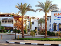Falcon Naama Blue