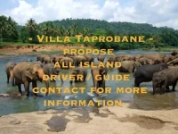 Villa Taprobane 2*
