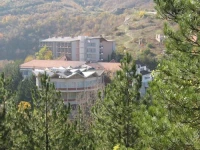 Banjica 3*