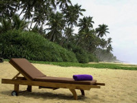 Taprobana Wadduwa