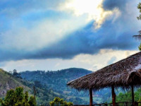 Ella Flower Garden Resort