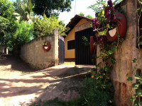 Himasha Guest