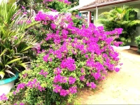 Sohoyuro Guest House 2*