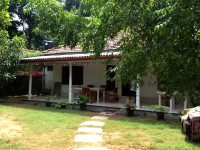 Serene Guest
