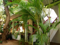 Panorama Rock Cafe