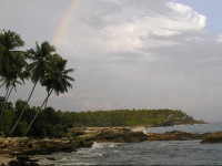 Rocky Point Beach Bungalow