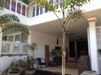 Number ONE Mirissa Hotel