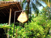 Beach House Kadabeddagama