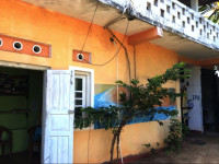 Jayanti Surf Dreams