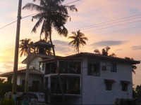 Surf Paradise Midigama