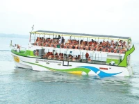 Sun Bird Eco Guest Mirissa 2*