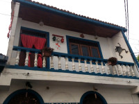 Loving Nest