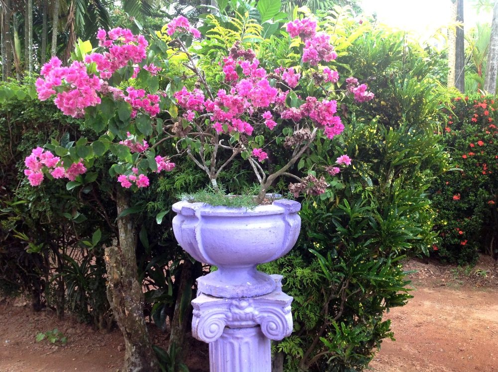 Chaya Villa Guest House 2*