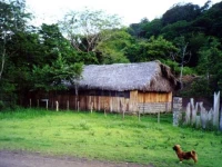 Domitila Private Wildlife Reserve 2*