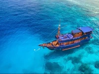 Perjuangan Boat 