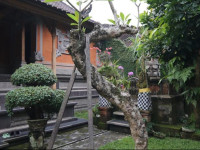 Alam Sari Homestays