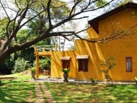 Raintree 