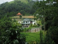 The Paddyfield Hideaway and Octogan 