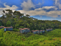 The Rainforest Ecolodge Sinharaja