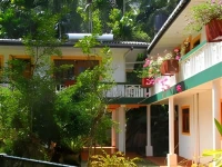 Rainforest Lodge 