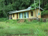 Sinharaja Forest Edge 