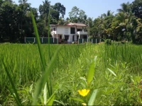 Galle Homestay Kalahe 