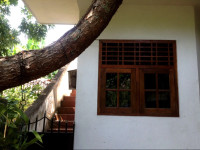 Herin Green House Galle