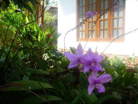Serene Residence