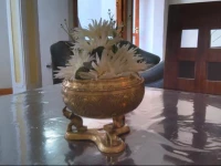 Mount View Inn Kandy 