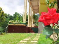 Srivi Villa 