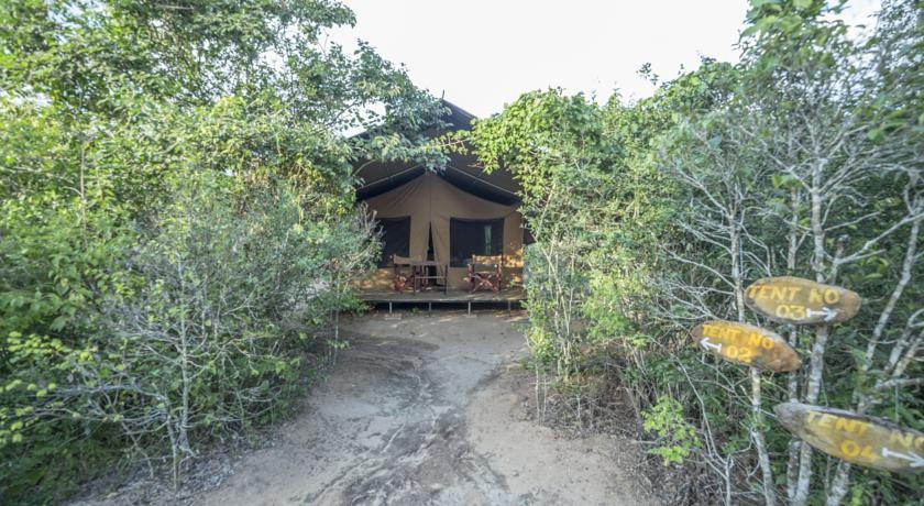 Wild Trails вЂ“ Yala Tented Safari Camp 4*