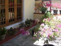 Streamy View Homestay 