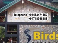 Birds Paradise Hotel 