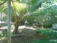 Nilantha House - Hikkaduwa 