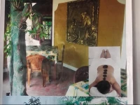 Vimukthi Ayurvedic Hospital & Academy 