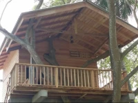 Wilpattu Tree House 