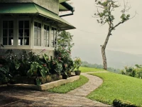 Hatale Tea Estate Bungalow 