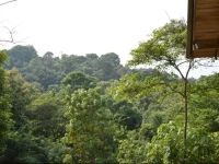 Chalet Honeyland 