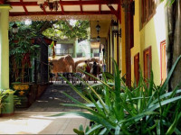Green Land Guest House Pinnawala