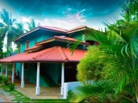 Peacock Lodge 