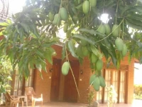 Sigiriya cottage 
