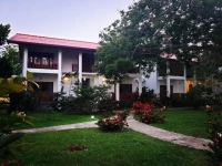 Blue Turtle Hotel 