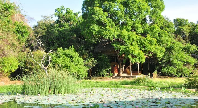 Back of Beyond Dehigaha Ela 