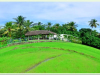 Ancient Village Hotel Polonnaruwa