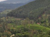 Country Comfort Hotel Ella