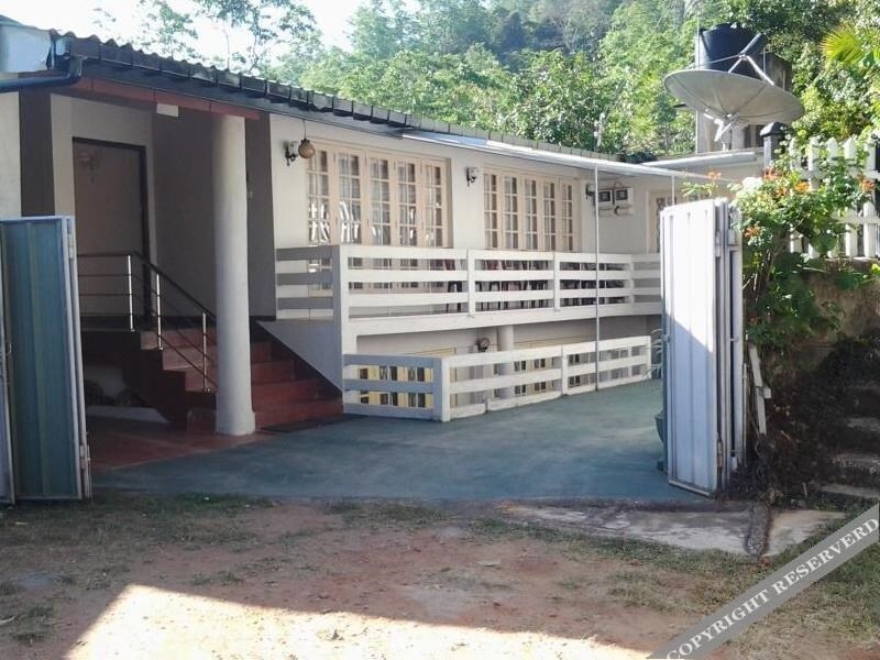 Forest View Holiday Home  2*