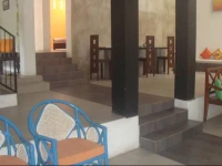 Palm Nest B&B 