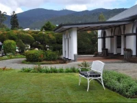 Royal Cocoon Nuwara Eliya 