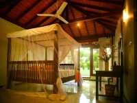Tropical Retreat 